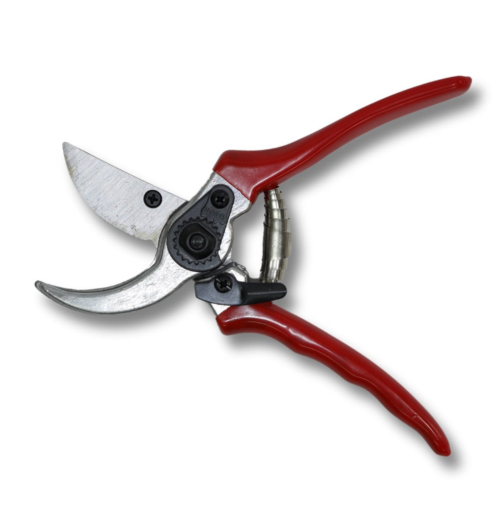 Astron - Pruning Shear