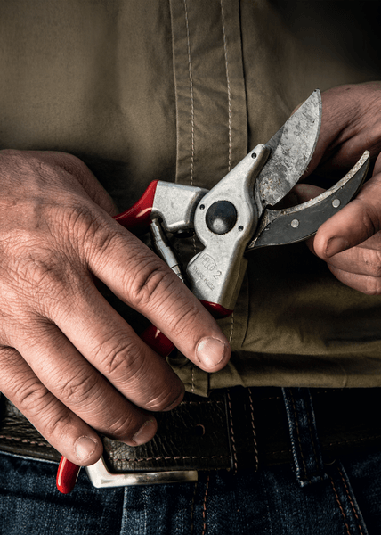 Felco - Precision Shears