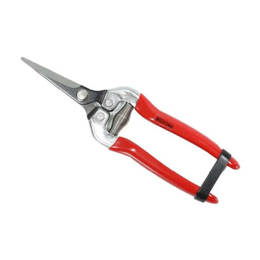 Astron T305 Lightweight Shear